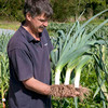 Leek Seeds - Musselburgh