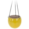 Lemon Design Flower Pot