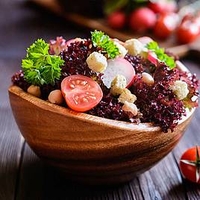 Lettuce Plants - 