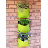 Living Wall Planters