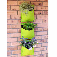 Living Wall Planters