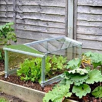 Long Cloche