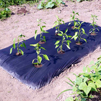 Long-lasting Multi-use Mulch Film - PICK & MIX