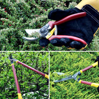 Lopper Shear and Secateur Set