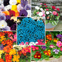 Lucky Dip - Autumn Bedding