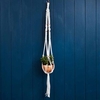 Macrame Plant Hanger Workshop with Prosecco for Two at Posh Totty Designs