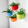 Magnetic Flower Pot