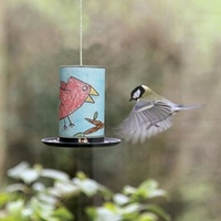 Make Your Own Bird Feeder