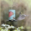 Make Your Own Bird Feeder