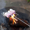 Marshmallow Fork
