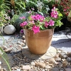 Medium Glazed Ceramic Effect Plastic Planter x 2