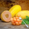 Melon Plants - Mangomel