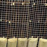 Mesh Wire Fencing - 13cm