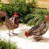 Metal Silhouette Animals - Hens