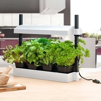 Micro Grow Light Garden - Black
