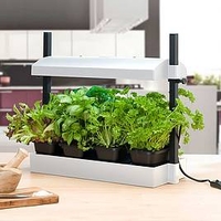 Micro Grow Light Garden