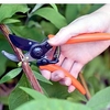 Micro Secateur - Terracotta