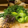 Mind the Gap Leaf Salad Collection