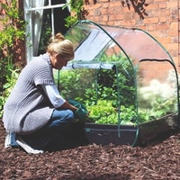 Mini Greenhouse