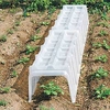 Mini Greenhouse Cloches
