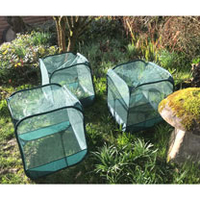 Mini Pop Up Net Cloche - Pack of 3