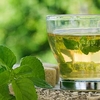 Mint Botanical Infusions Plants - Marokko