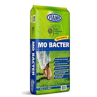 MO Bacter