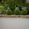 Mossy Mates (Single)