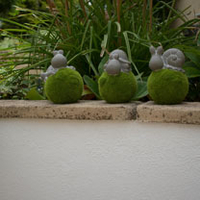 Mossy Mates (Single)
