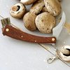 Mushroom Knife and Recipe Book