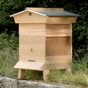 National Hive Starter Kit