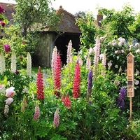 Natural Insect Hotel on a Stake