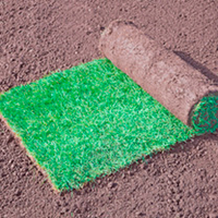 Natural Turf 1m sq.