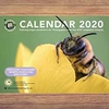 NBS Calendar