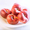 Nectarine Tree - Flatarine