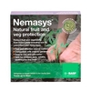 Nemasys 
