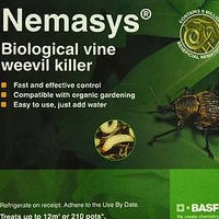 Nematode Vine Weevil Killer 12m² (Spring and Autumn)
