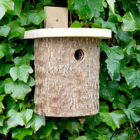 Nest Box - Log Tit