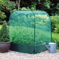 Net Cover and Raised Bed