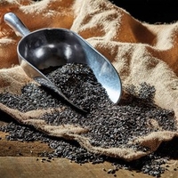Niger Seed (25.5kg)