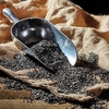 Niger Seed