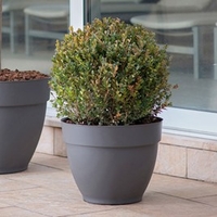 Ninfea Water Reservoir Planter 26cm - Anthracite
