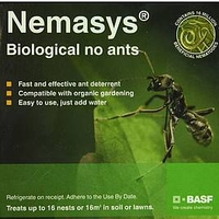 No Ants (Up to 16 Nests)