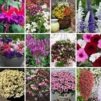 Nurserymans Choice Container Beddin