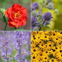 Nurserymans Choice Nursery Stock