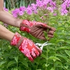 Oak Leaf Gloves - Poppy Red