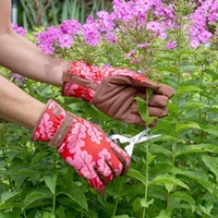 Oak Leaf Gloves - Poppy Red