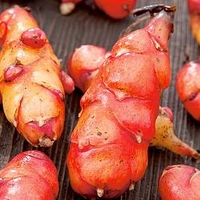 Oca Giggles Gourmet Roots