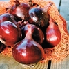 Onion (Bulb) Seeds - Red Pearl F1