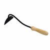 Onion Hoe